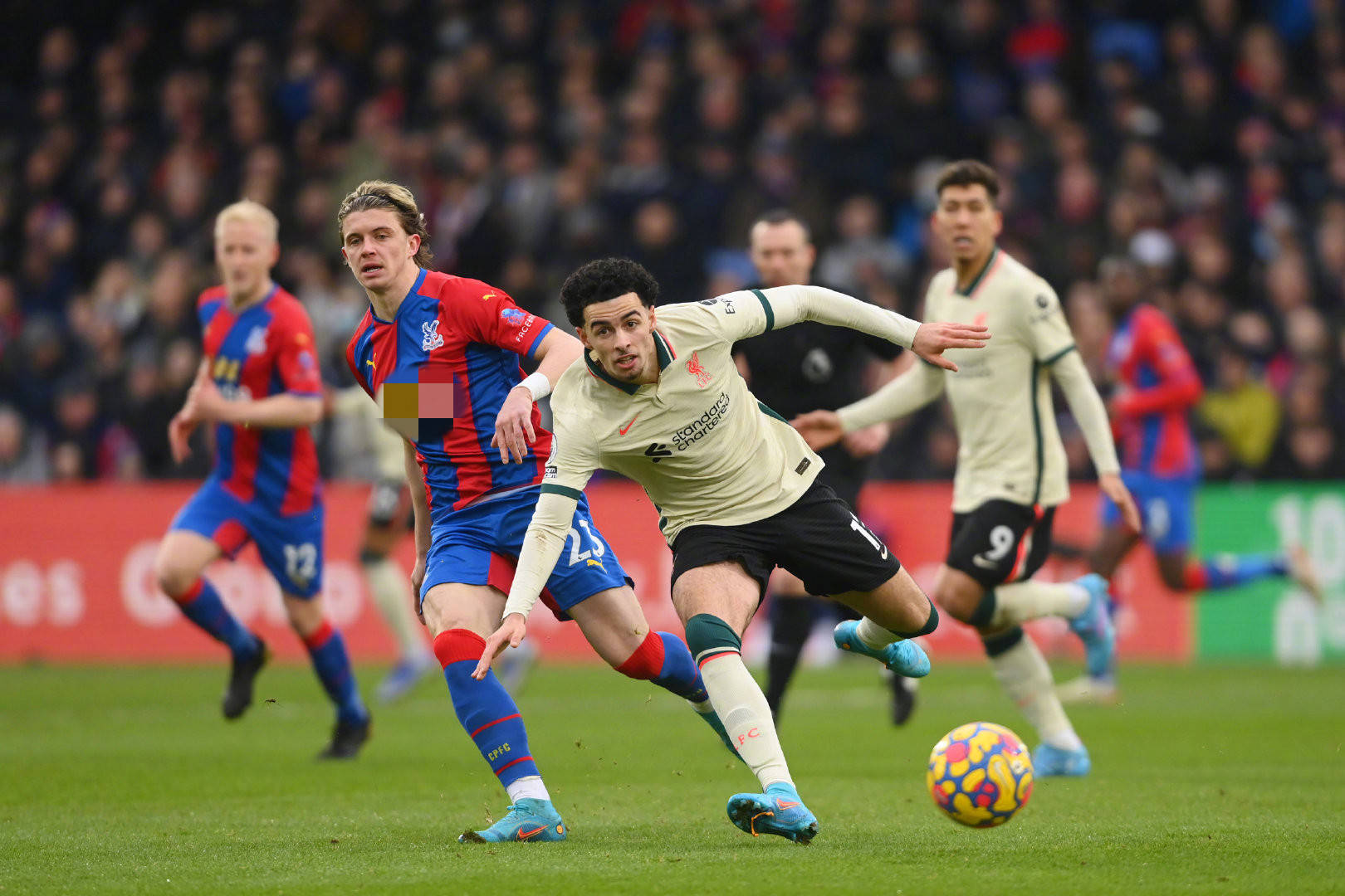 提供了良好 提供了良好