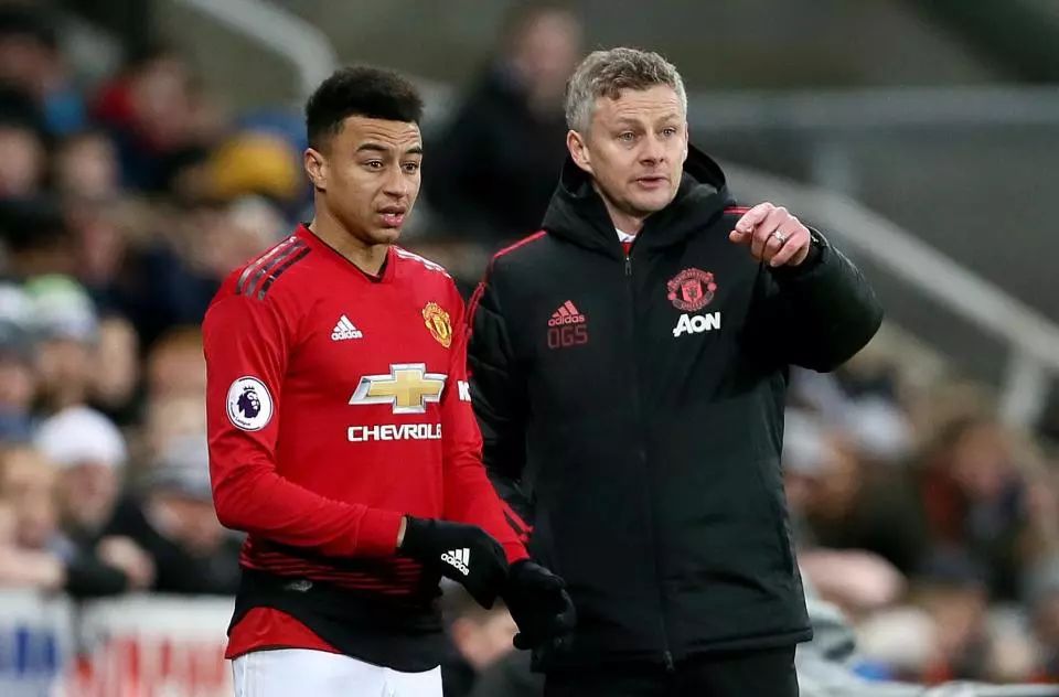 球迷们纷纷 球迷们纷纷